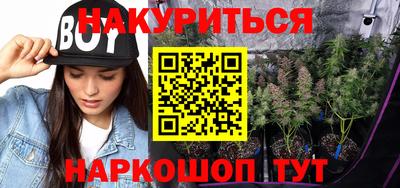 гидра Краснокаменск