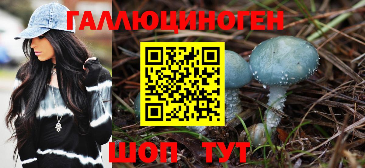 где купить   Псилоцибиновые грибы ЛСД  Вход с VPN  Керчь 
