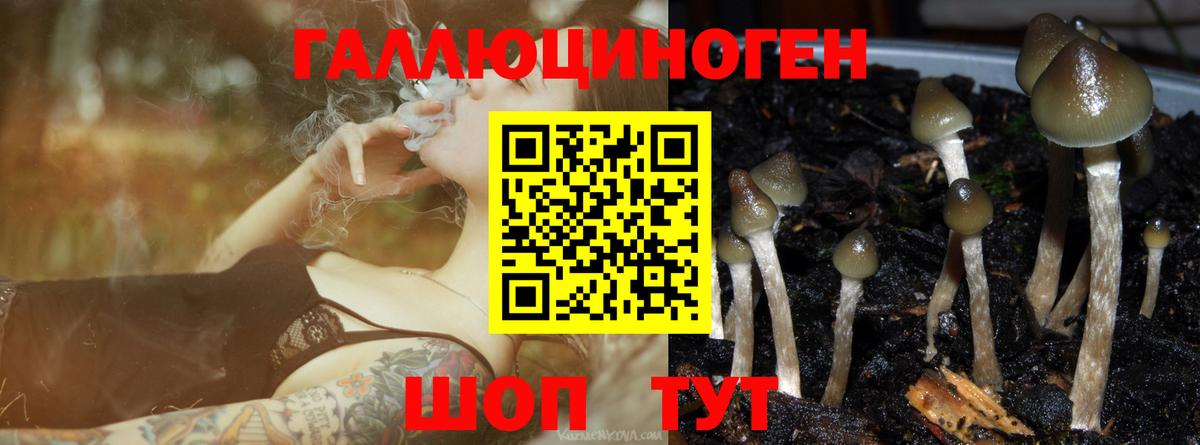Псилоцибиновые грибы ЛСД Керчь